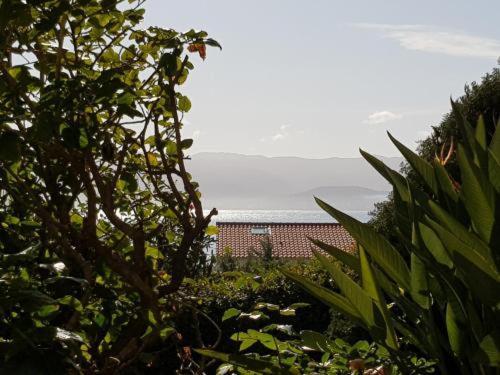 Ajaccio Studio Parc Berthault / Albert 1Er 外观 照片